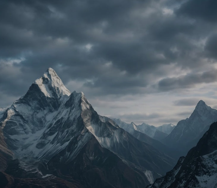 Himalayan Sourced